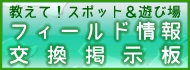 フィールド情報掲示板