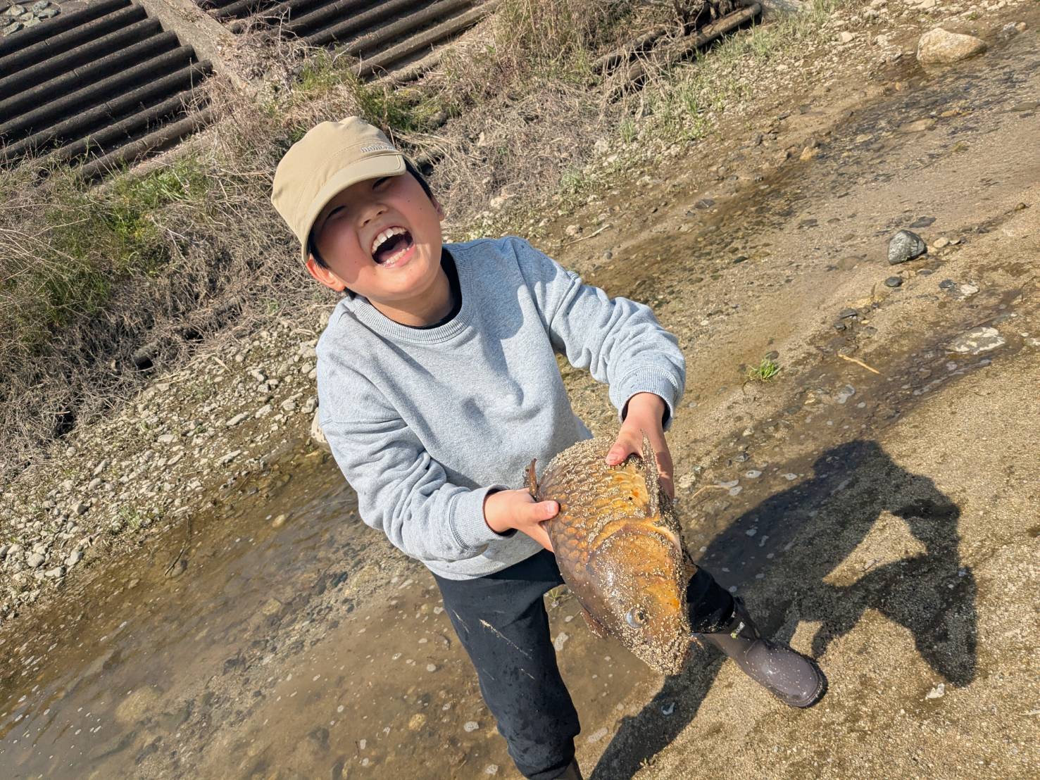 10_184_1.jpg : 2026-03-25 19:08:24